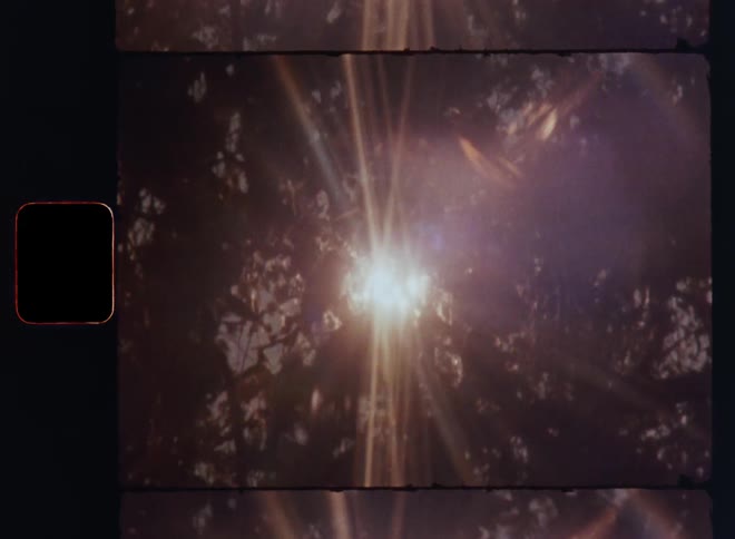 The sun shines through tree leaves and the bright sunshine or sunrays create a flickering light effect and a lens flare in the vintage Super 8mm camera with dynamic and shaky movement