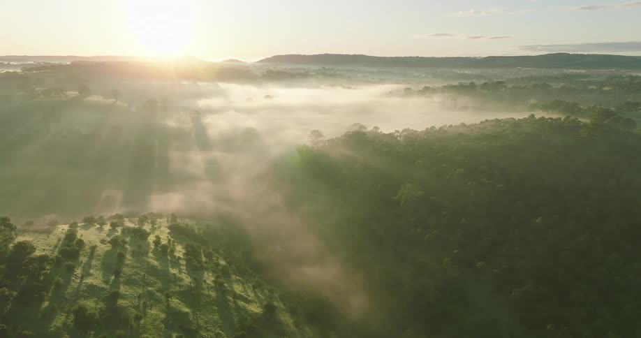 Aerial panorama of a forest beneath mountains with fog and the sun on the horizon in the morning