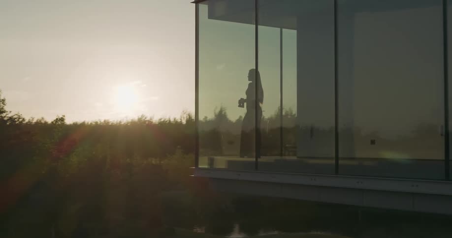 Silhouette of a woman in a glass house facing the forest