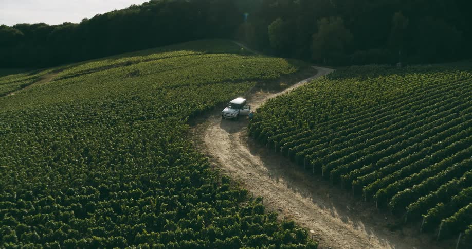 A car is stopped with a door open on a dirt road crossing a vineyard