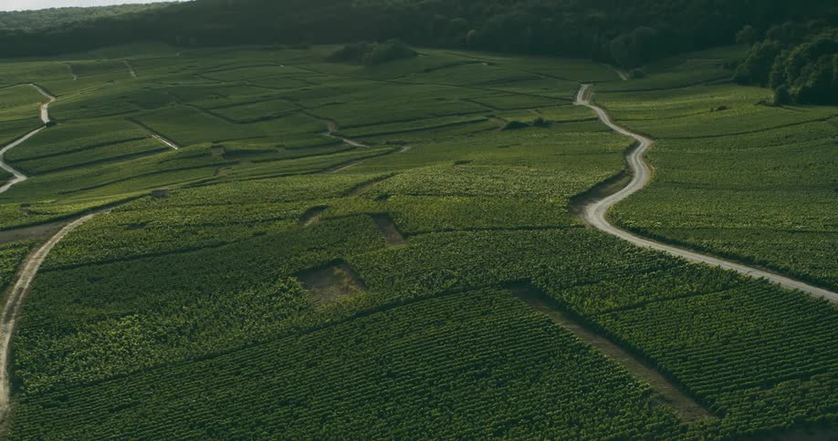 Aerial of roads winding between green fields of crops near woods on a cloudy day