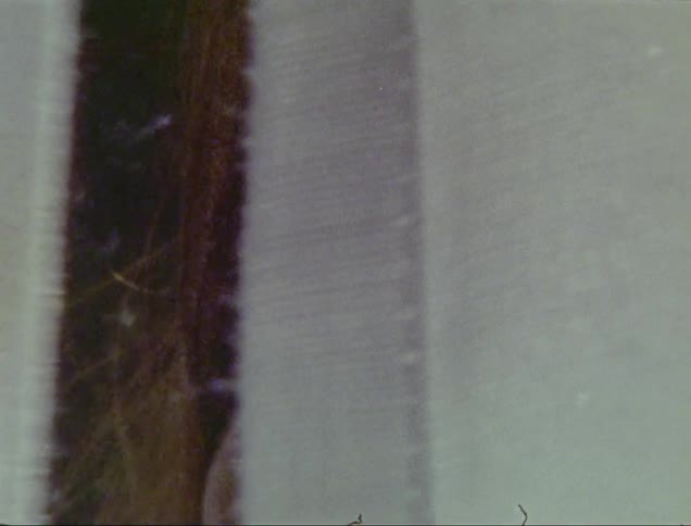 Womans face partially covered by a white fabric