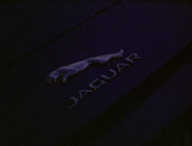 Closeup of the jaguar car brand emblem