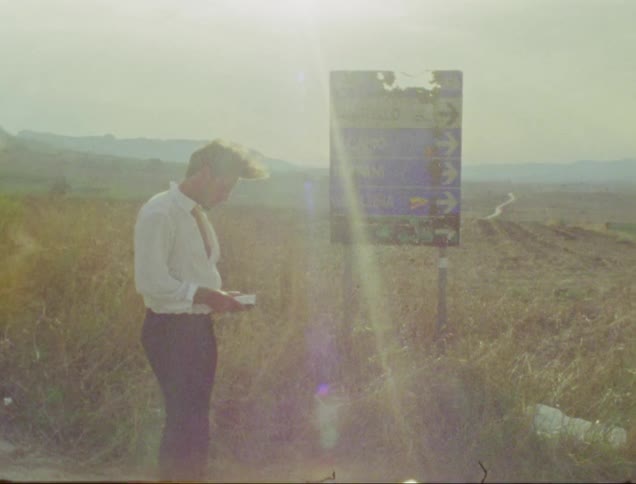 Man in formal attire next to a pasture with sunlight reflection