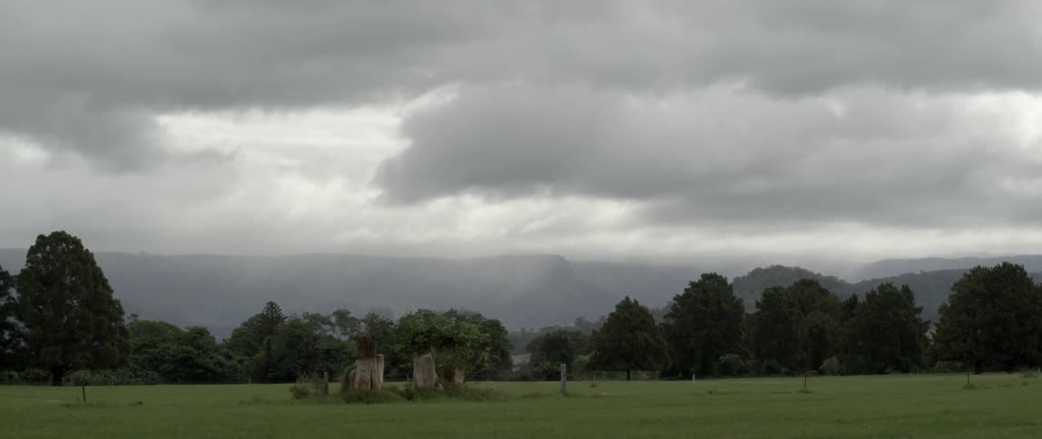 A field on a cloudy gray day