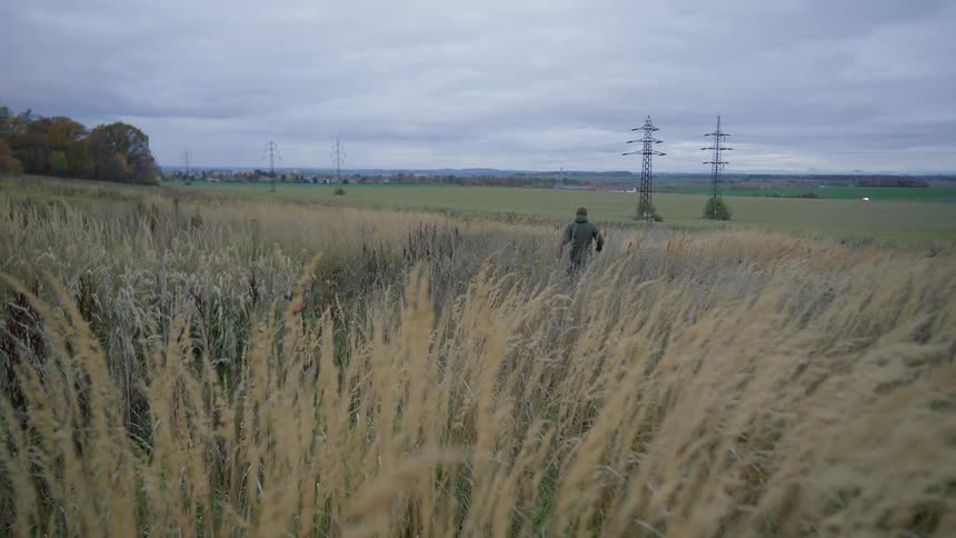 Man and dog walk through tall grass on a windy day with transmission towers in the background