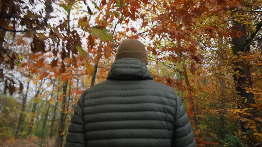 A man walks through a forest with trees in bright fall colors