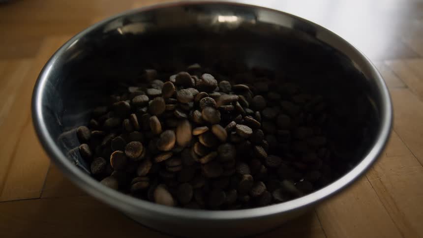 Dry dog food is being poured into a large metal bowl on a hardwood floor