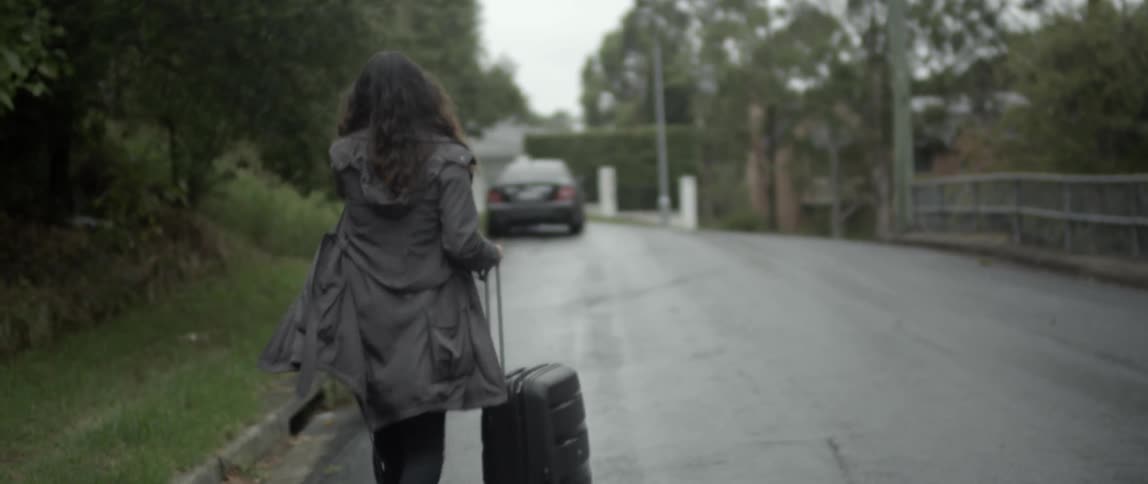 A woman is wheeling her bag down the road