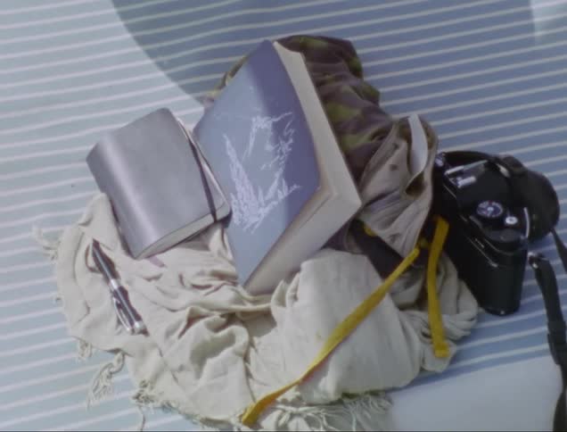 Two books and a pen and a black camera lay on a fabric bag