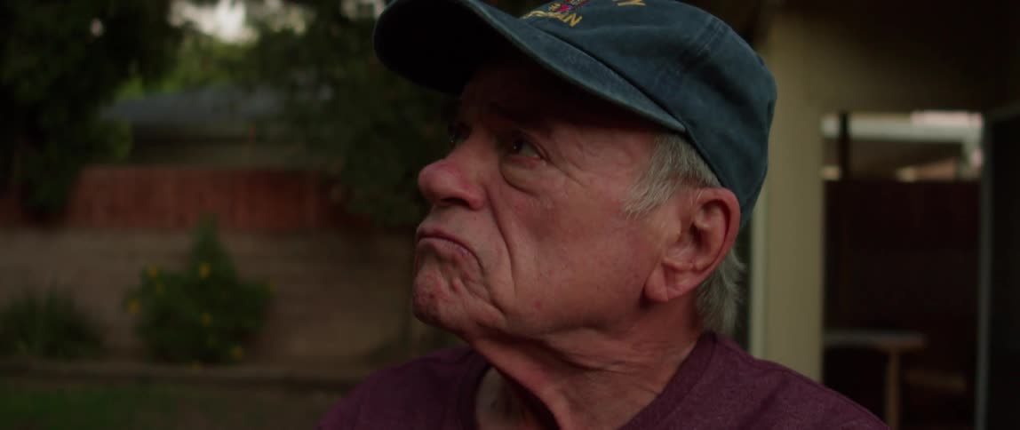 A man is standing in his yard