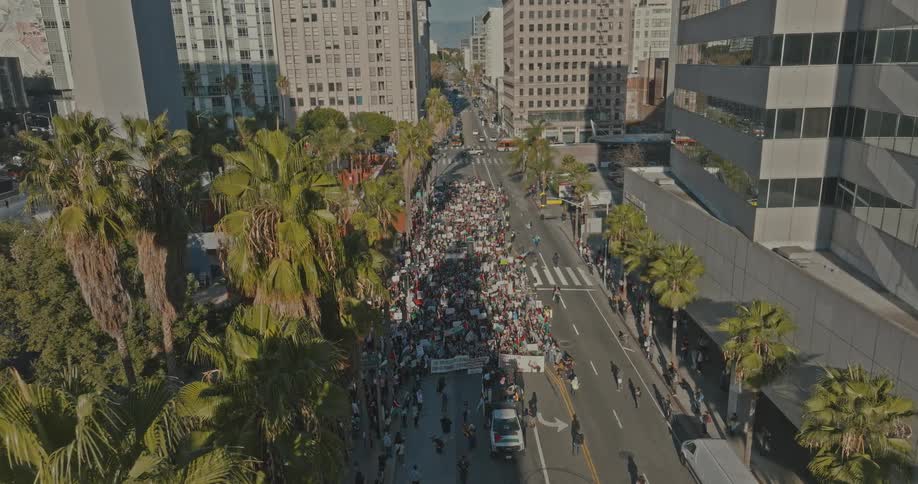 Aerial panorama of a crowd of people with signs protesting in the city