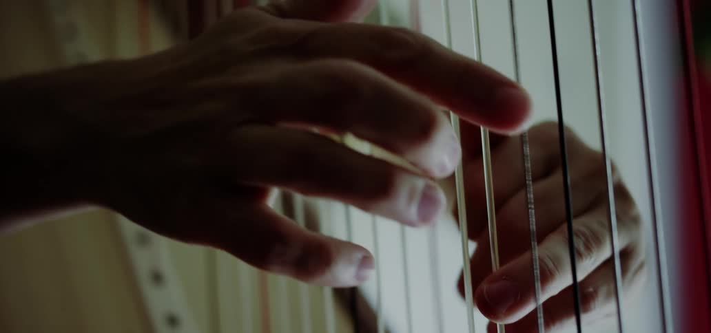 A person playing a harp