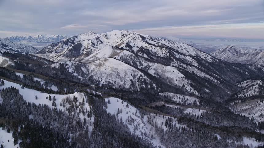 Aerial of snowy mountain range partly covered by a conifer forest