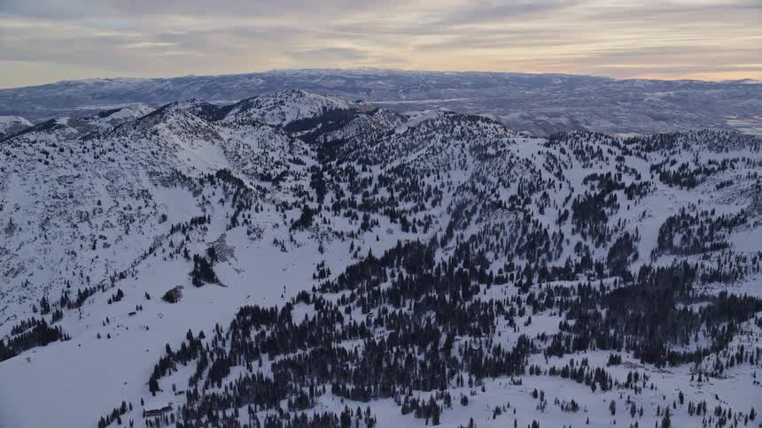 Aerial of a mountain with snowcovered pine trees