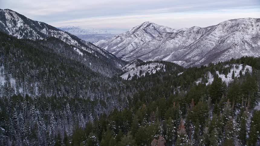 From above an expansive snowy valley unfolds adorned with a dense forest creating a serene and wintry landscape captured in the aerial view
