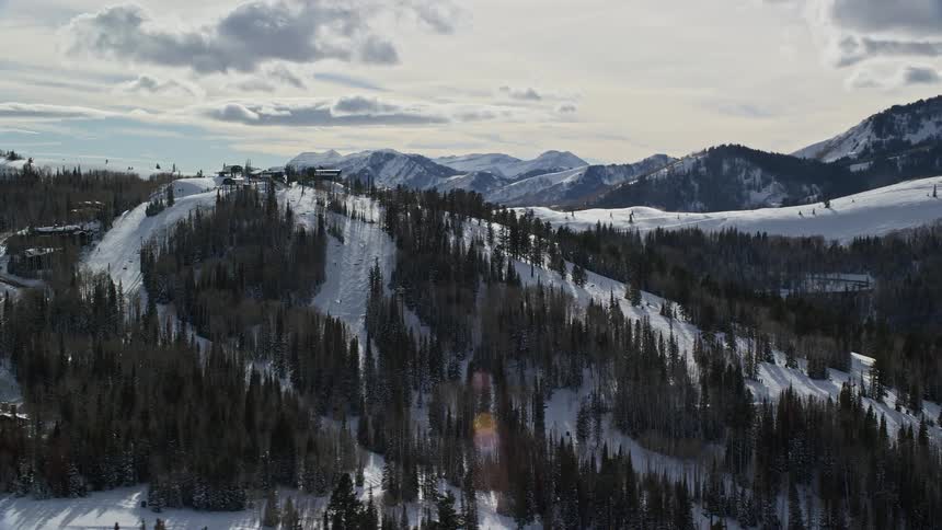 Aerial panorama of coniferous trees beneath snowcovered mountains