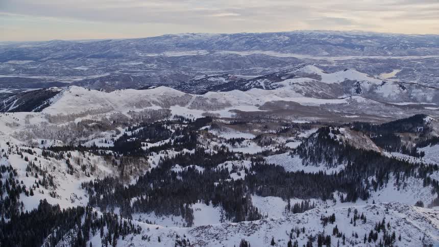 Panorama of an aerial landscape with snowcovered mountains and coniferous trees