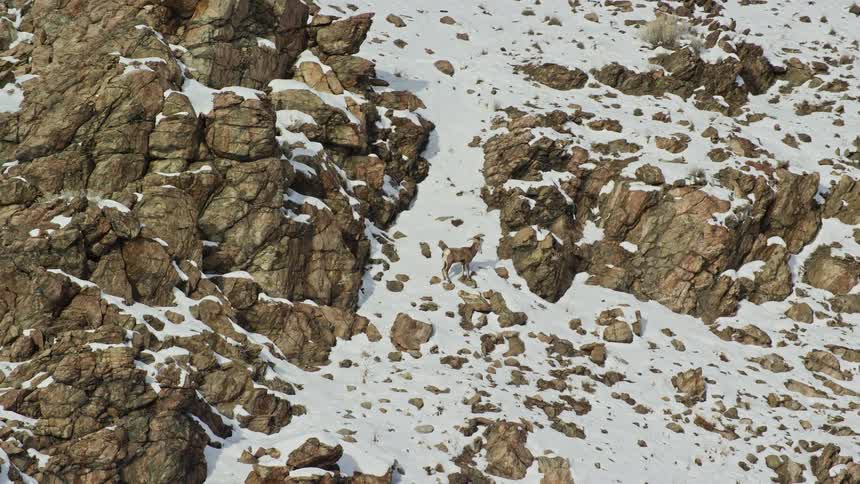 Snow covers the side of the mountain