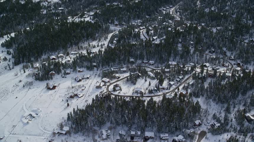 Residential neighborhood surrounded by pine forest during winter