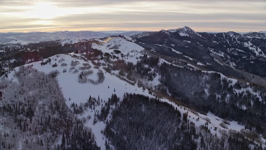 Mountain range with conifers covered in snow and the sunrise