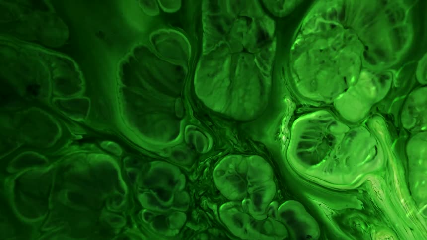 Green paint in abstract motion bubbling quickly