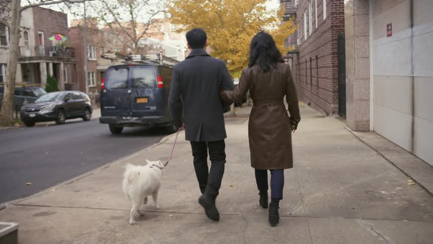 Couple walking backward and leading their white dog