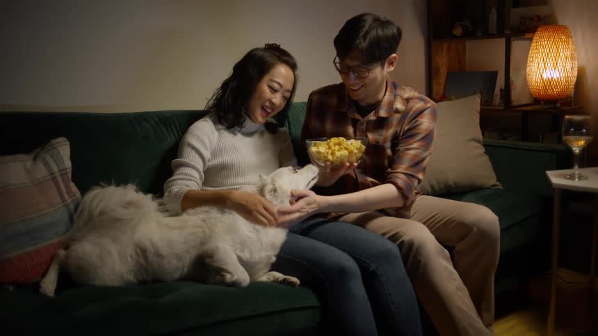 A man and a woman eating popcorn in a room and watching a movie with a dog