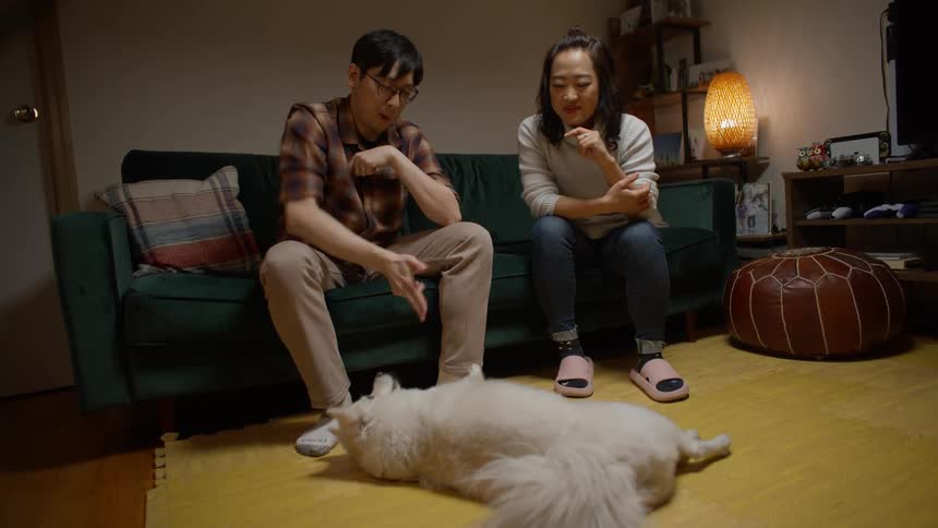 Couple sitting on the sofa playing with their dog with treats