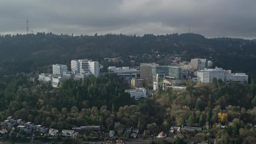 Aerial of a small town surrounded by a forest with pine trees