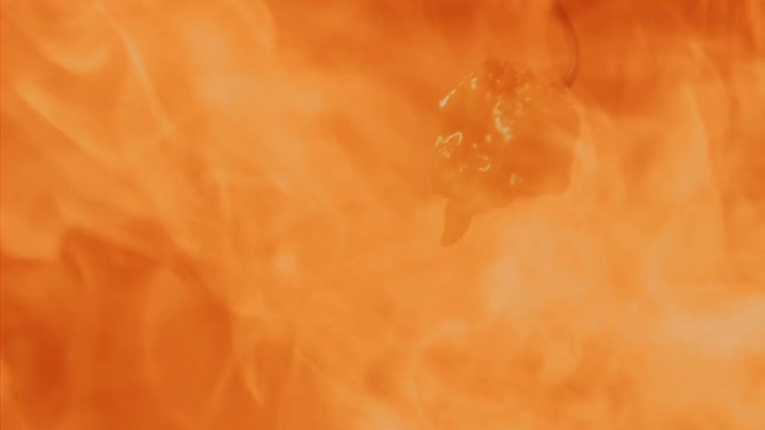 Pepper on fire in slow motion