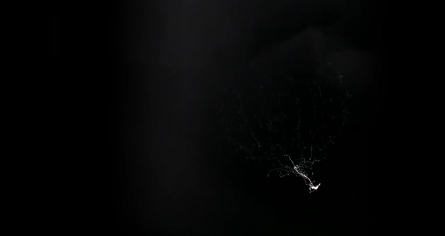 Colorful bubble falling and bursting in slow motion