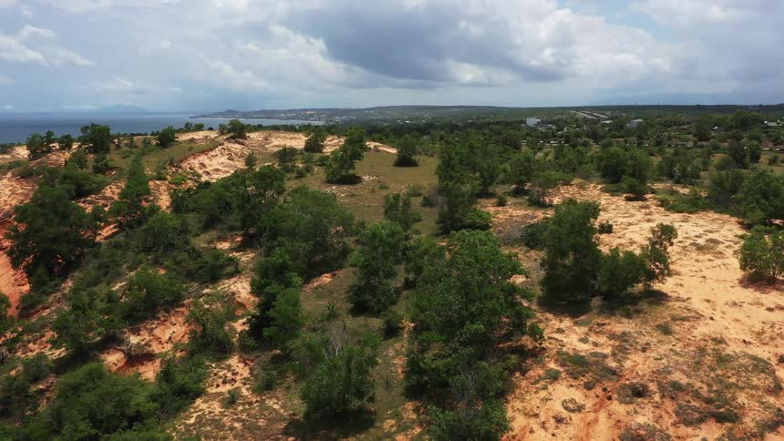 Panorama of a mountain with trees on a cloudy day