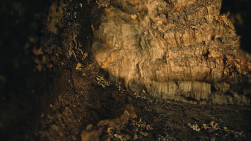 Interior view of a cave at night