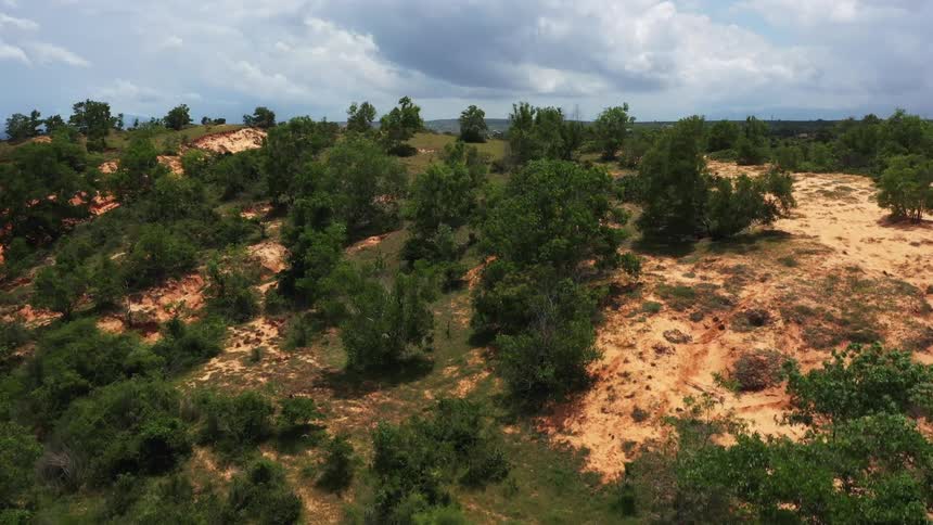 A region with some trees on a red earth soil