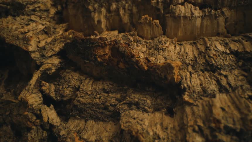 A close up clip of a rock