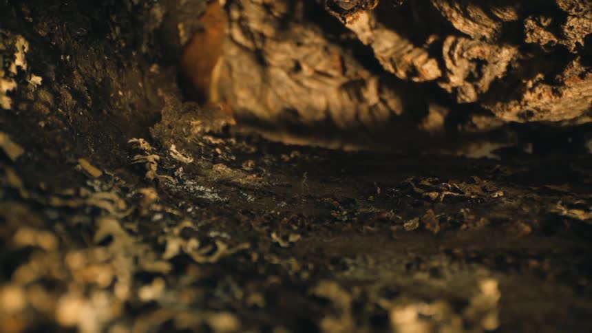 The crack in the rock has light shining in