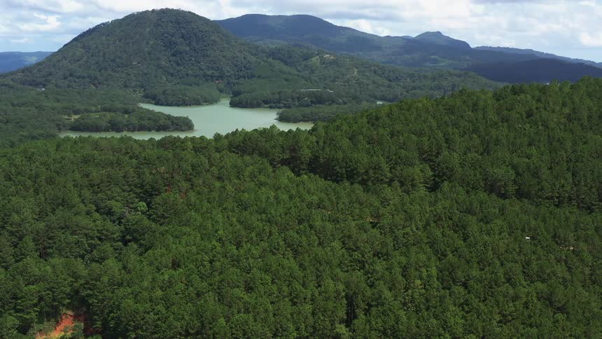 Panorama of a landscape with forest mountains and a lake in daylight