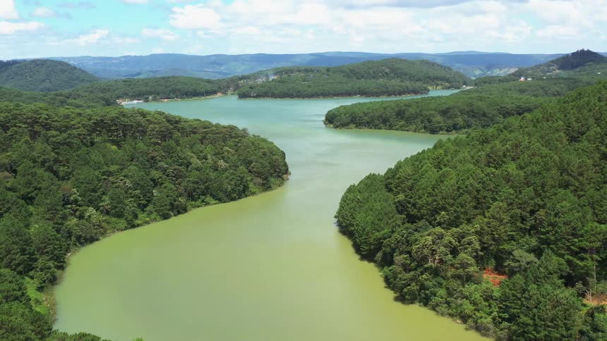 A river runs through the jungle