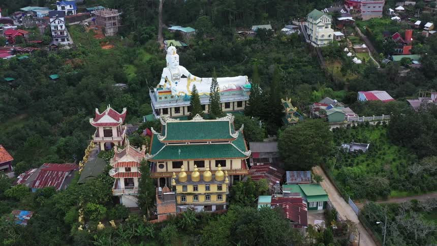 Aerial view of a neighborhood in a residential city amidst a forest
