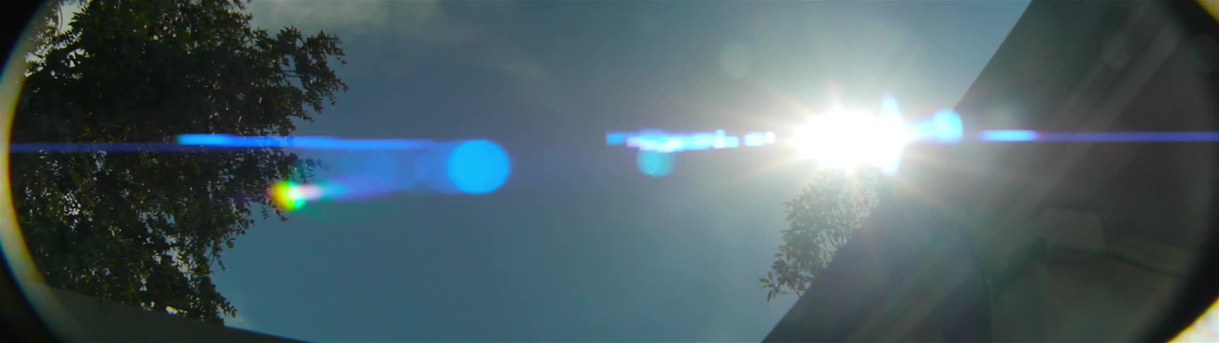 The sun shines over a tree near a roof