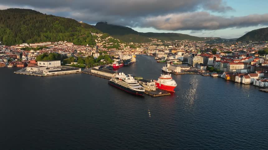 Ships dock at pier near coastal town surrounded by forested mountains on a cloudy day