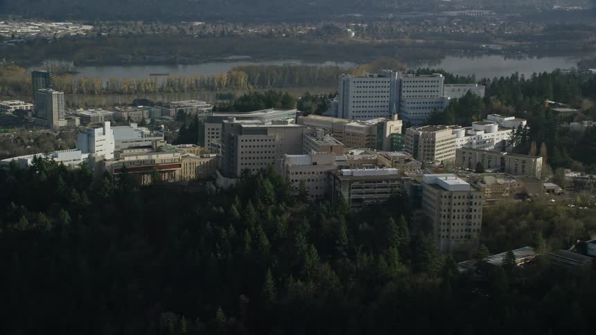 Aerial panorama of buildings in a metropolis amidst mountains and forested peaks