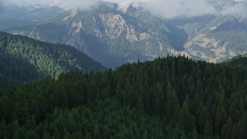 The mountains are covered with trees