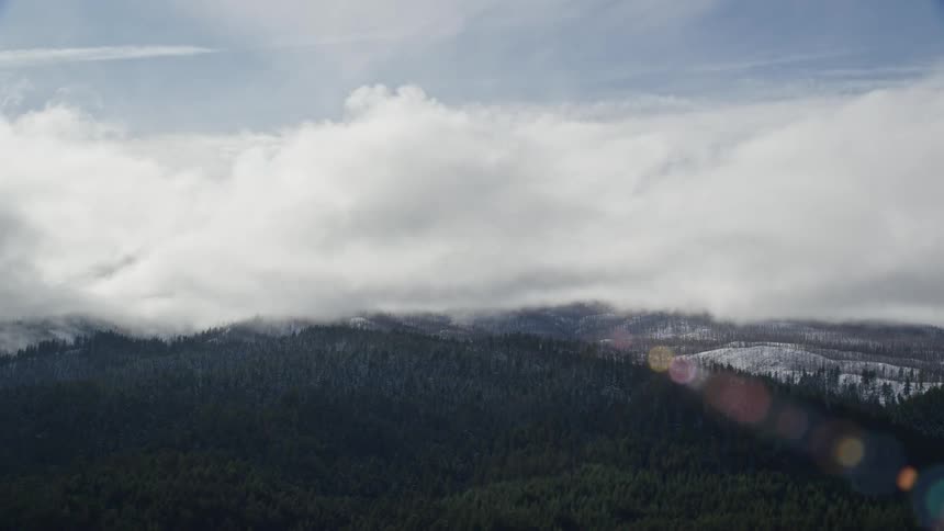 A large forest is before the mountain
