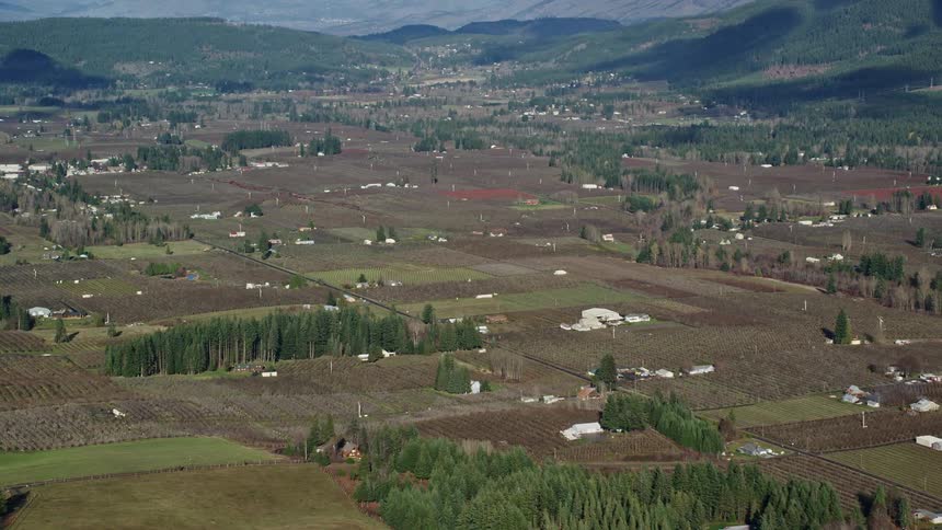 The landscape is full of trees and fields