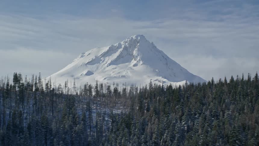 A large white mountain covered with snow and in front a forest of pine trees