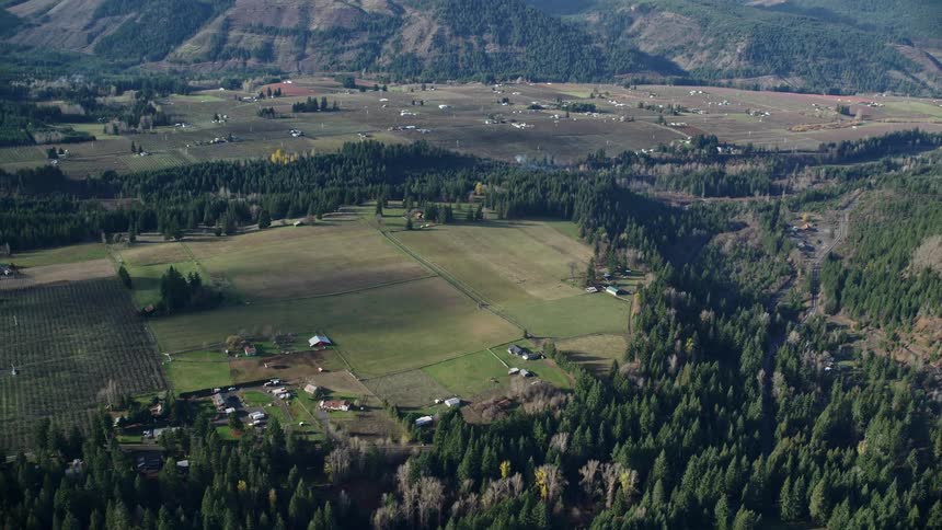 An aerial view of rural fields surrounded by forest