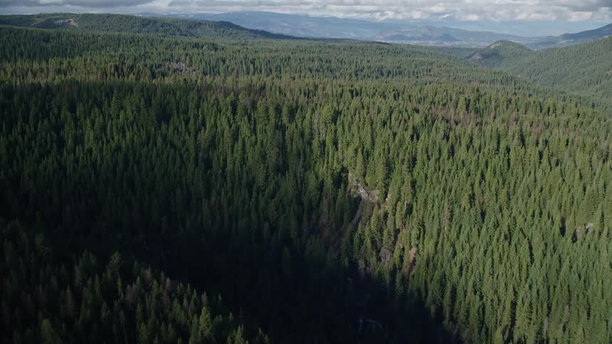 Aerial panorama of a forest beneath mountains on a cloudy day