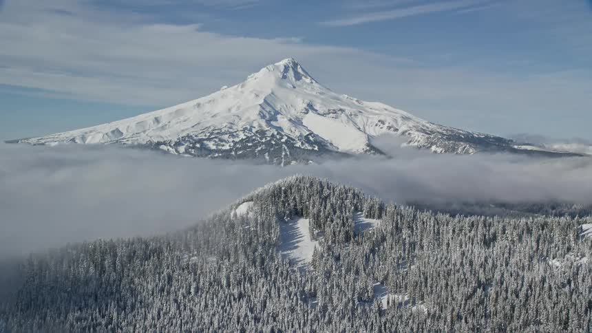 Aerial view of snow covered forest and high mountain